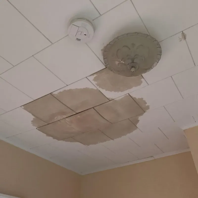 Ceiling Water Damage Repair in Pontotoc County, OK