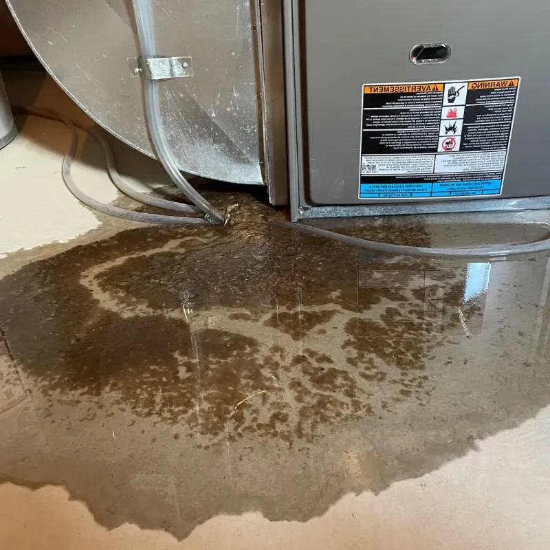 Pipe Burst and Leak Restoration in Pontotoc County, OK